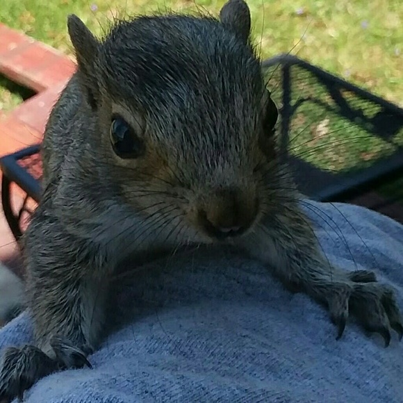 Meet your Posher, Greg - Picture 2 of 3